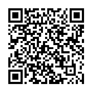 丞相夫人之所以不拦着自己的女儿跟云家两个姑娘交好二维码生成