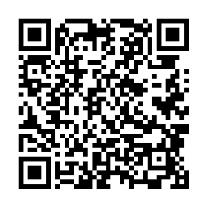 丢开了一切的陆为民自然也是放开身心来享受着这份甘甜二维码生成