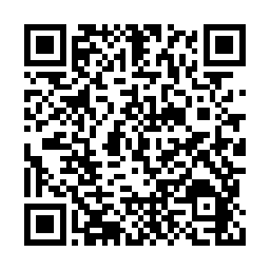 两个世界的所有源境界强者全部来到了天元大陆二维码生成