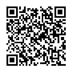 两个人之后的相遇不是在经纪公司内部就是在片场二维码生成
