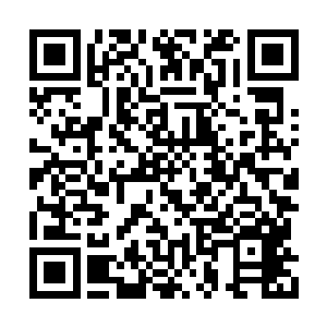两个人也是真的没有把玉明月给看在眼睛里面了二维码生成