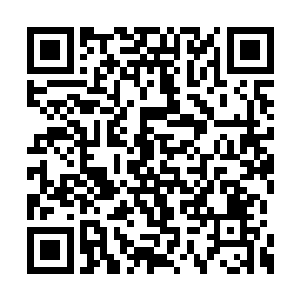 两个人就眼巴巴地一直看着樱子吃完所有的东西二维码生成