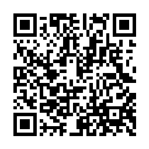 两个人此时也如同雕像一般地呆呆地望着许紫烟二维码生成