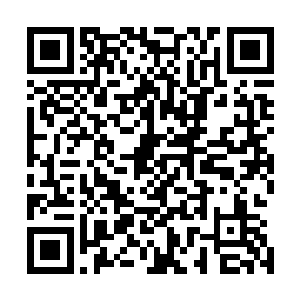 两个人的作品恰恰也是在最佳原创剧本部门最大的得奖热门二维码生成