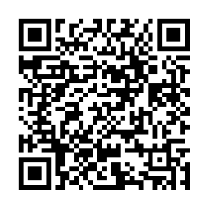 两个人立刻拖起想要看动画片的西格玛冲向了门外二维码生成