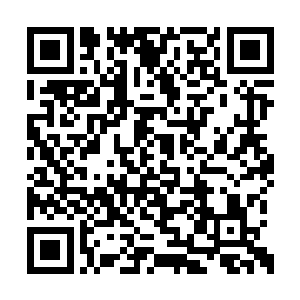 两个人谁也没有理睬放在桌面上难得一见的宝物二维码生成