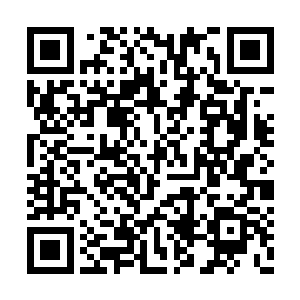 两个仙王初期远远地看到前方出现了突破的征兆二维码生成