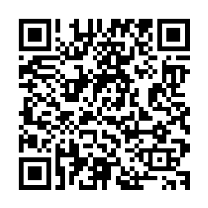 两个修士之间的对战就要看两个人谁能够借去更大的天地之威二维码生成