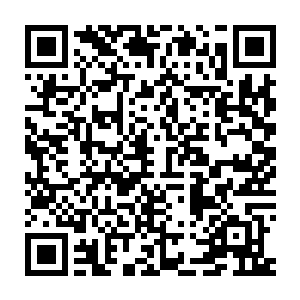 两个修炼了没有多久的年轻人怎么可能拥有释放出本源力量的仙诀二维码生成