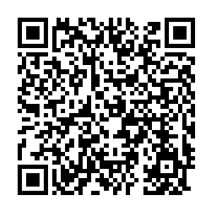 两个半步混沌天境界的高手的怒火若是一旦爆发的话绝对会无比的恐怖二维码生成