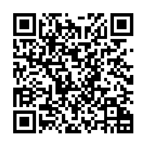 两个反派不是应该跳出来大声呵斥他卖狠的时候才对嘛二维码生成