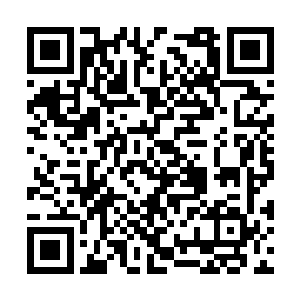 两个哥哥早因为她在范府受委屈而憋了一肚子的气二维码生成