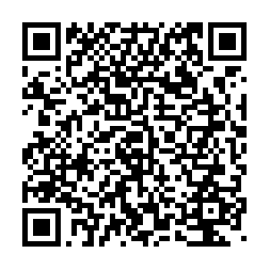两个境界极致的高手同时出手解决一个初入境界的人还是轻而易举的二维码生成