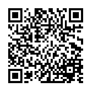 两个大肚婆只是凑过来拿不大的肚皮蹭蹭自己自己嘴里哼唧几声二维码生成