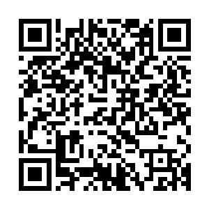 两个姑娘的声音立刻引起了两头小虎鲸的兴趣时不时的回着嗯噢二维码生成