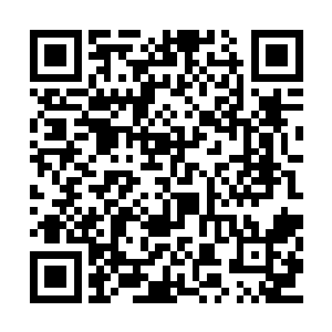 两个家伙都可说在整个无疆海举足轻重的大人物二维码生成