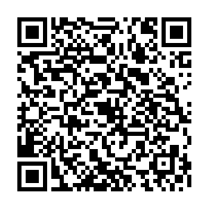 两个小丫头别看是年岁小不过在爱炫这一点儿上很是得外祖母和母亲的真传二维码生成