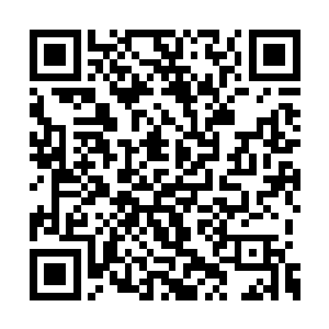 两个小家伙也是立刻的就收拢了手里面的家伙式二维码生成