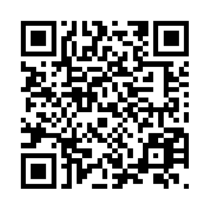 两个小家伙倒也没有表现出来什么不精神二维码生成