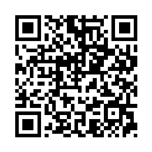 两个小家伙则是略显有那么一些紧张二维码生成