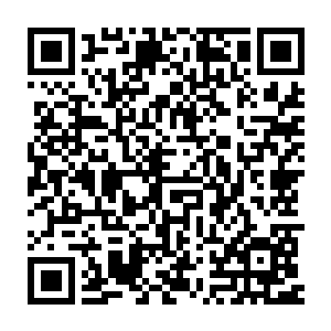 两个小的可是亲眼看到被逼急了的大肥猪一口咬得大哥手臂上鲜血直流二维码生成
