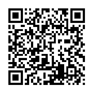 两个已经重伤的荀家老者在这股爆炸的劲风肆虐之下二维码生成