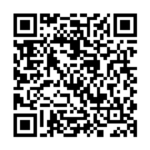两个抬瓷器箱子的仆役就不小心被害事的云三拌了一个大马趴二维码生成