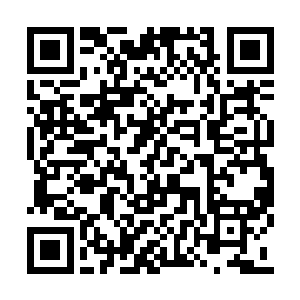 两个歹徒看着跑走的张银宝也没有直接把他杀了二维码生成