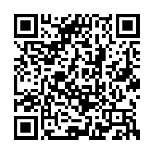 两个白发苍苍的老人虽然身上穿着普通的中山装二维码生成