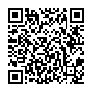 两个眼熟的年轻女警卫小文跟小莉当先走了出来二维码生成