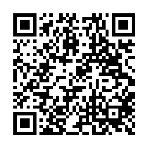 两个绑着安全带的大男人像是小孩子一样的打架二维码生成