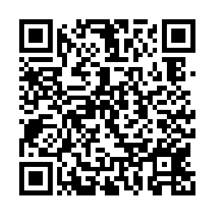 两个鼻青脸肿的少年已经被同学们硬生生拉开了二维码生成