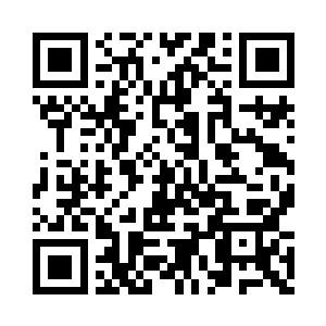 两人不约而同地将目光移向夹在中间的饭盒二维码生成