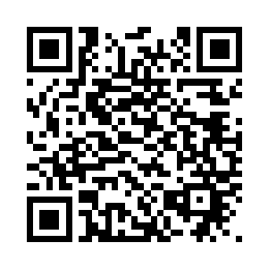 两人似乎正在以神念进行交谈着什么二维码生成