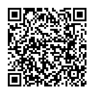 两人力量对比极为悬殊――哪怕此时洪大力已经使用上了星空骑士变身二维码生成