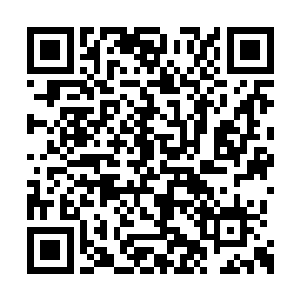 两人半年之前是跟花雨露一块探索那上古洞府的二维码生成