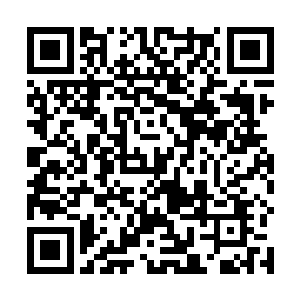 两人发现那道消瘦的身影竟然主动的朝着他们冲了过来二维码生成