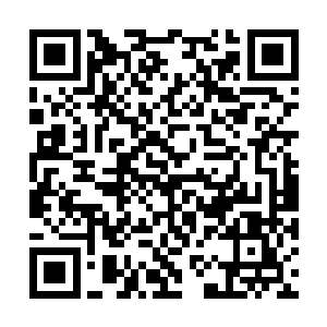 两人很快达成一致意见――药丸是用罂粟花粉制成二维码生成