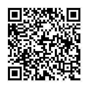 两人战斗所展露出来的实力已经是超过了地仙强者的层次二维码生成