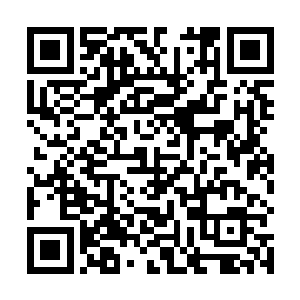 两人手上的道源级长剑秘宝便不受控制地发出悲鸣之声二维码生成