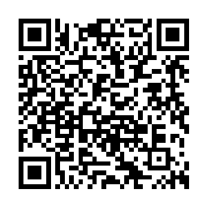 两人拼出的法力余威都已经达到了实质化的境界二维码生成