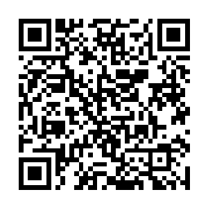 两人暗中猜测秦宇的实力应该已经是得到了七品巅峰二维码生成