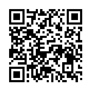 两人正在整理苏叶派人交接的一些资料二维码生成