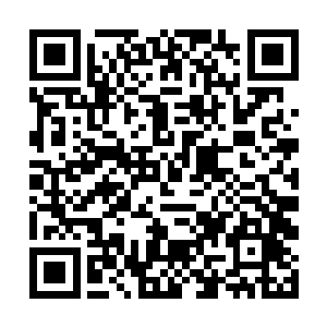 两人没时间去管坐着鸿蒙级混沌兽的少年是什么身份二维码生成