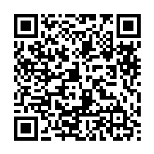 两人甚至可以感觉到身下岩石山拼命的在……逃跑二维码生成