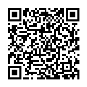 两人的底蕴已经不下于一些晋升数百年的六品开天了二维码生成