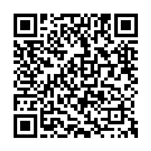 两人的身躯都犹如一颗陨石似得飞快的飞了出去二维码生成
