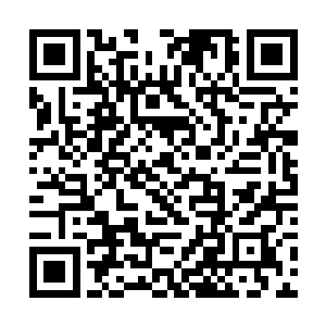 两人这才把注意力放在了两个活动手脚的小宝宝身上二维码生成