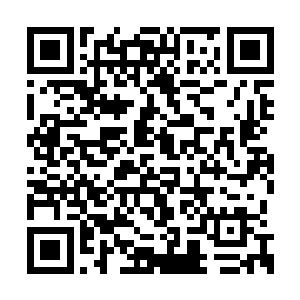 两人都从对方的眼中看到了一丝发自心里的惊恐二维码生成