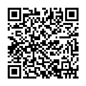 两件宝物居然都被一个人以十万块的价格拍走了二维码生成